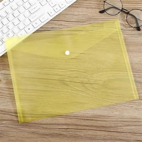 CHEMISE A BOUTON TRANBO TRANSPARENT