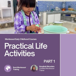 [02850] A MODEL PRACTICAL LIFE ACTIVITY N1