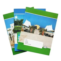 [098479] CAHIER SUCCESS 300P A4 SEYES