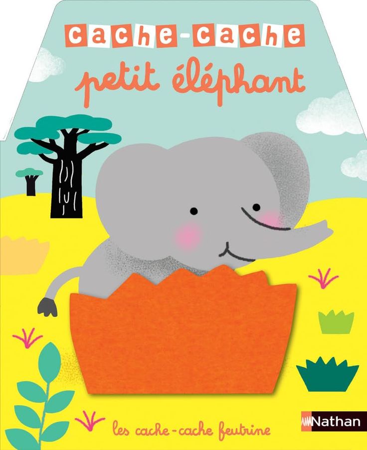 CACHE CACHE PETIT ELEPHANT