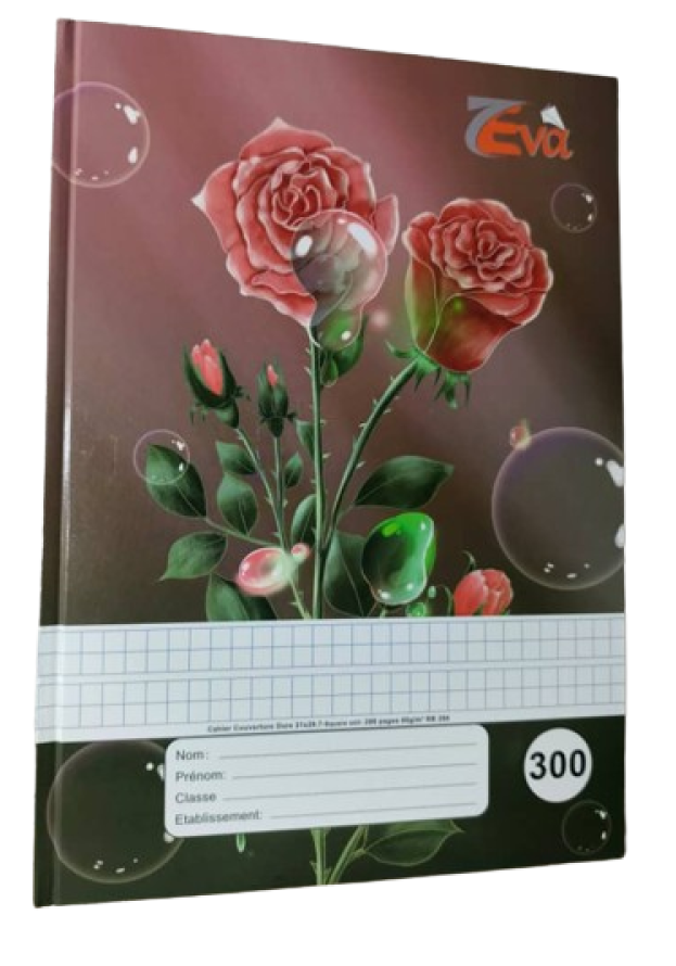 CAHIER 300P TP LOCALE