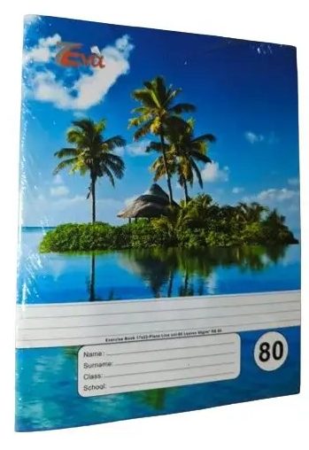 CAHIER SUCCESS 80L PLAIN