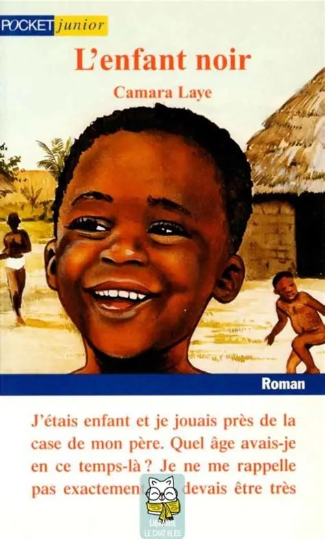CONTES L'ENFANT NOIR