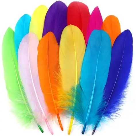 CRAFT FEATHERS