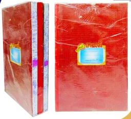 [02300] CAHIER LEDGER 400P PL SAFCA