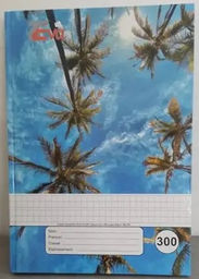 [098480] CAHIER SUCCESS 300P TP