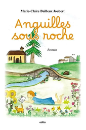 [08476] CONTES ANGUILLE SOUS ROCHE